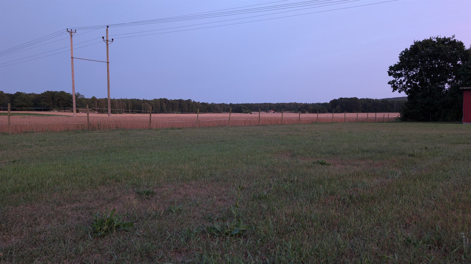 Kvällsljus över åkrarna i Torsabjörke